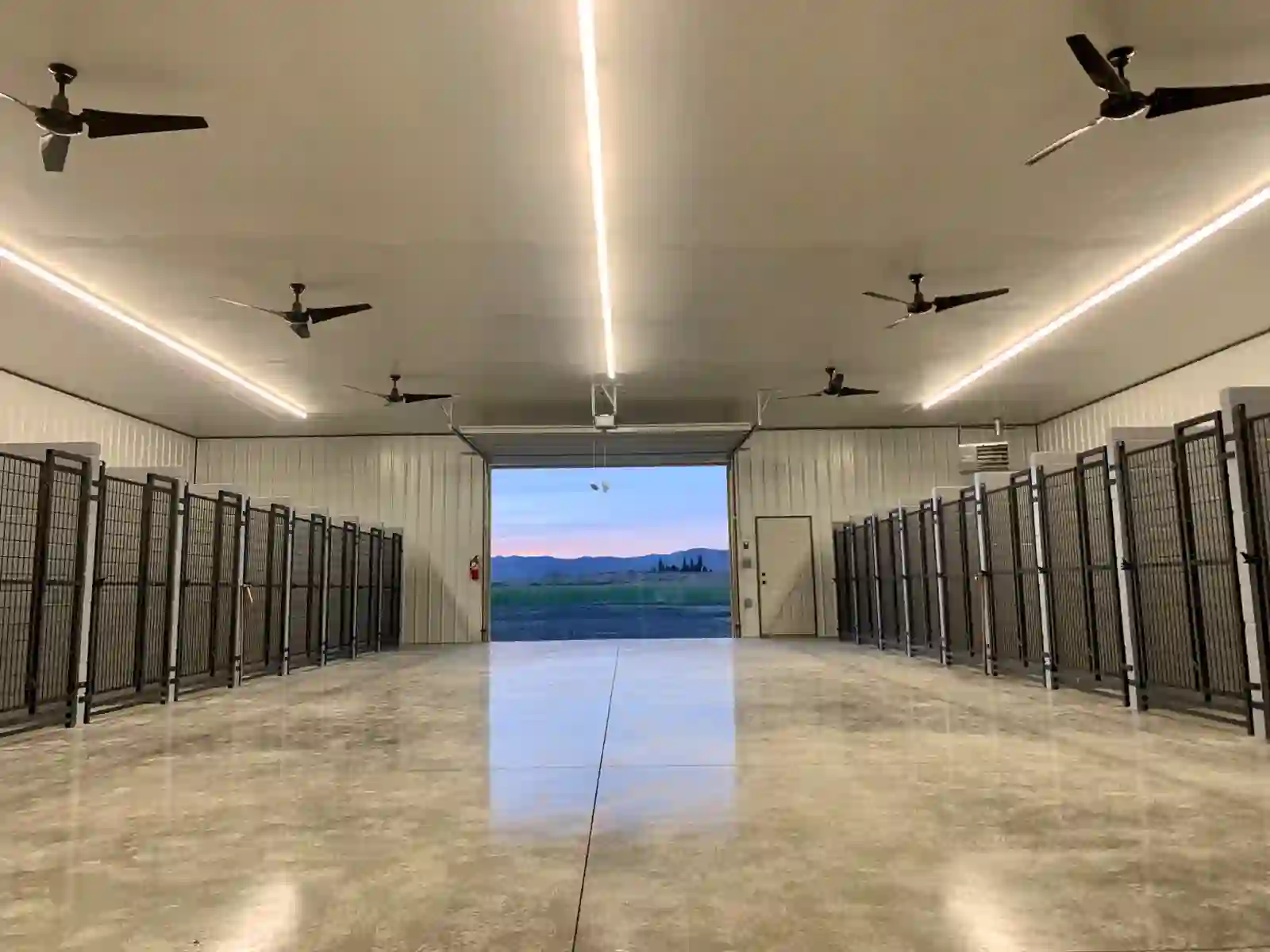 Finished commercial dog kennels