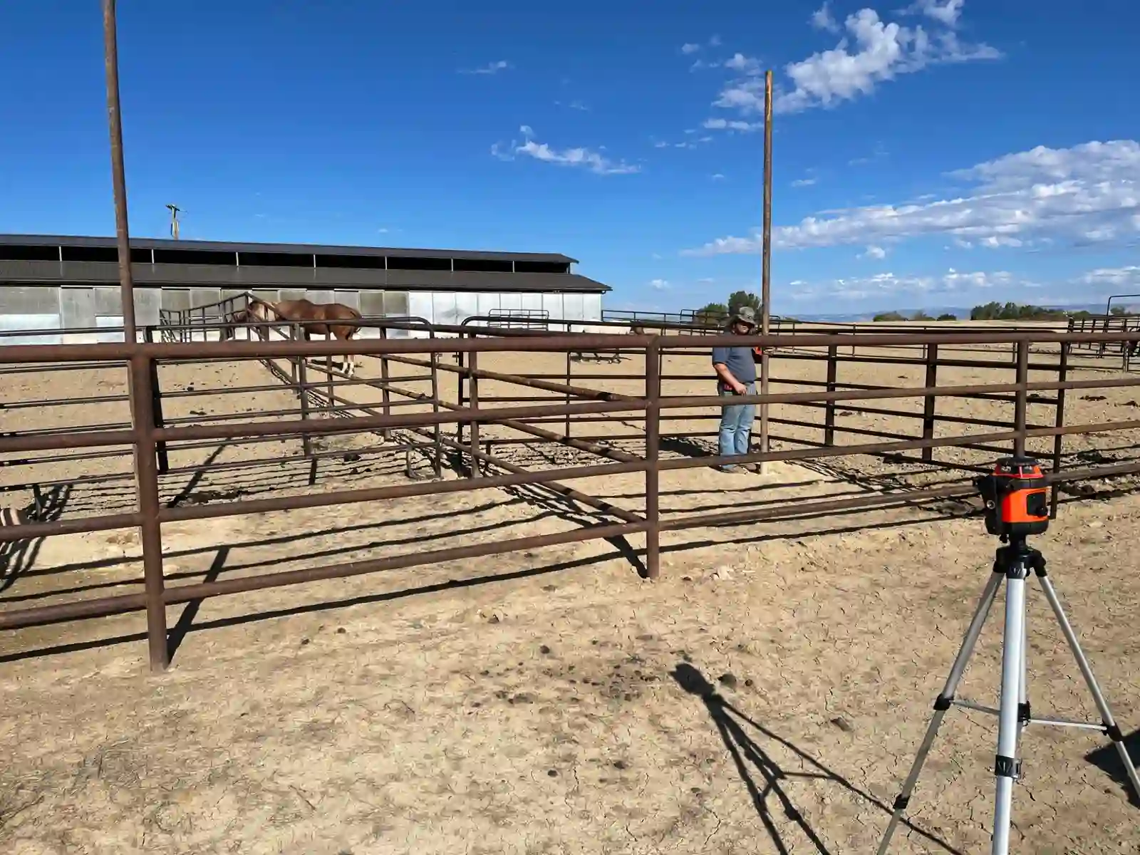 Loafing shed and paddock layout